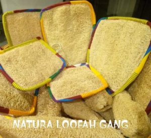 Natural loofah Gang